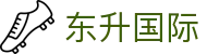 东升国际